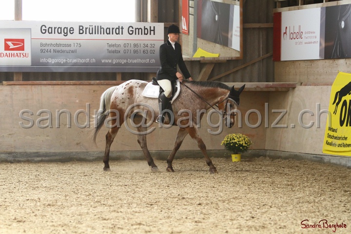 29-ApHC OHUS_011.jpg